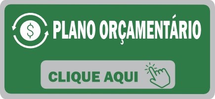 PLANO ORÇAMENTÁRIO