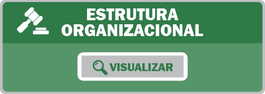 ESTRUTURA ORGANIZACIONAL